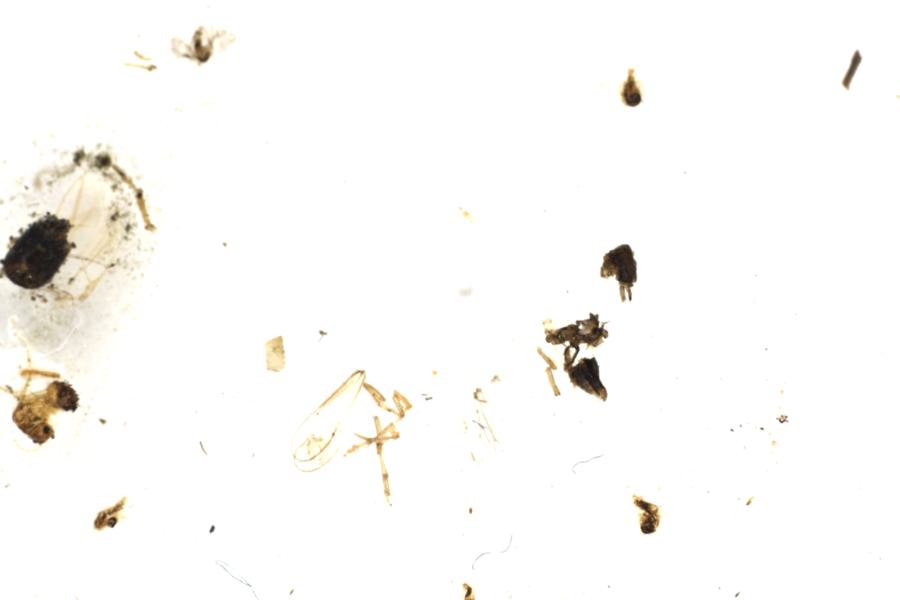 Image 23